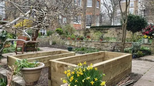 newly built wooden vegetable planters